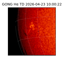 gong - 2026-04-23T10:00:22