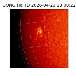 gong - 2026-04-23T13:00:22