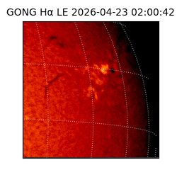 gong - 2026-04-23T02:00:42