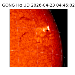 gong - 2026-04-23T04:45:02