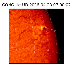 gong - 2026-04-23T07:00:02