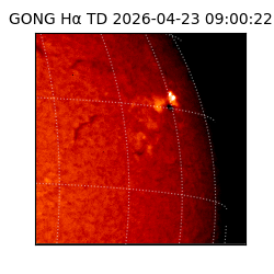 gong - 2026-04-23T09:00:22