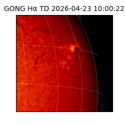 gong - 2026-04-23T10:00:22