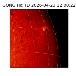 gong - 2026-04-23T12:00:22