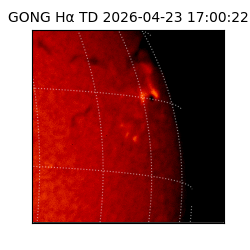 gong - 2026-04-23T17:00:22