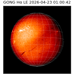 gong - 2026-04-23T01:00:42