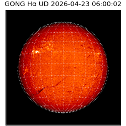 gong - 2026-04-23T06:00:02