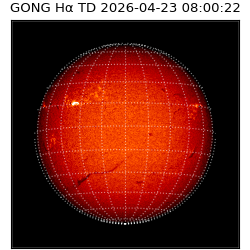 gong - 2026-04-23T08:00:22