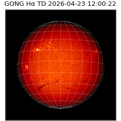gong - 2026-04-23T12:00:22
