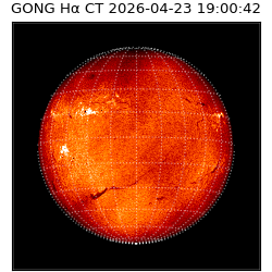 gong - 2026-04-23T19:00:42