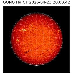 gong - 2026-04-23T20:00:42