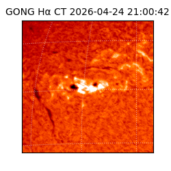 gong - 2026-04-24T21:00:42