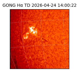 gong - 2026-04-24T14:00:22