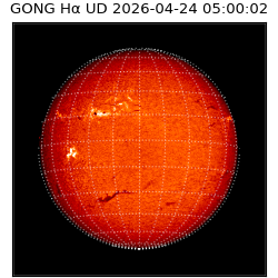 gong - 2026-04-24T05:00:02