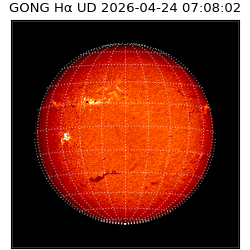 gong - 2026-04-24T07:08:02