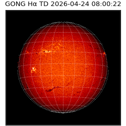 gong - 2026-04-24T08:00:22