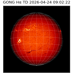 gong - 2026-04-24T09:02:22