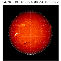 gong - 2026-04-24T10:00:22