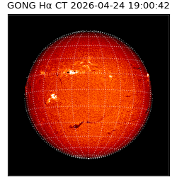 gong - 2026-04-24T19:00:42