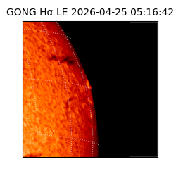 gong - 2026-04-25T05:16:42