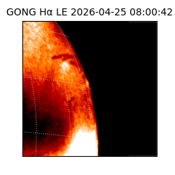 gong - 2026-04-25T08:00:42
