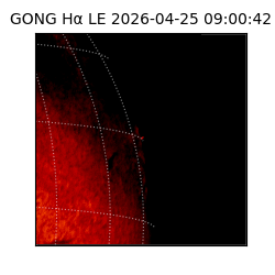 gong - 2026-04-25T09:00:42
