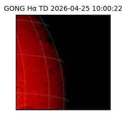 gong - 2026-04-25T10:00:22