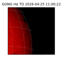 gong - 2026-04-25T11:00:22