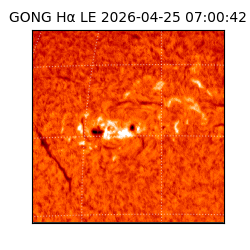 gong - 2026-04-25T07:00:42