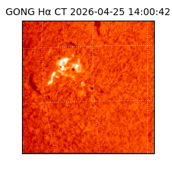 gong - 2026-04-25T14:00:42