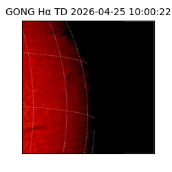 gong - 2026-04-25T10:00:22