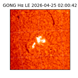 gong - 2026-04-25T02:00:42