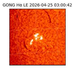 gong - 2026-04-25T03:00:42