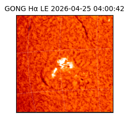 gong - 2026-04-25T04:00:42