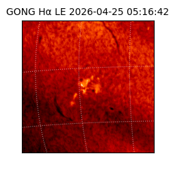 gong - 2026-04-25T05:16:42