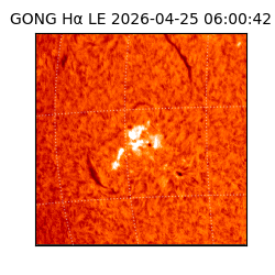 gong - 2026-04-25T06:00:42