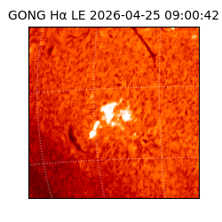 gong - 2026-04-25T09:00:42