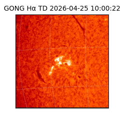 gong - 2026-04-25T10:00:22