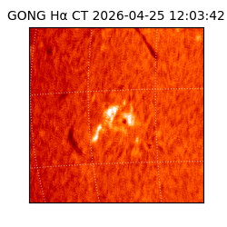 gong - 2026-04-25T12:03:42