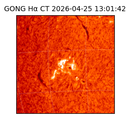 gong - 2026-04-25T13:01:42