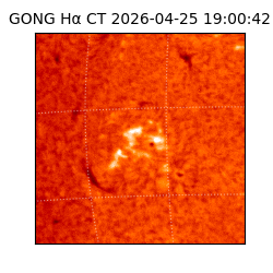 gong - 2026-04-25T19:00:42