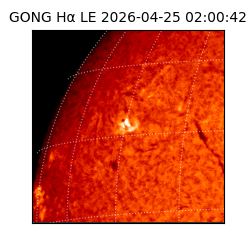 gong - 2026-04-25T02:00:42