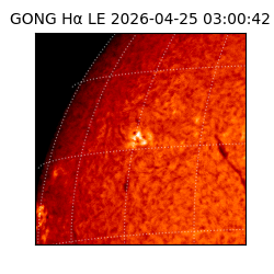 gong - 2026-04-25T03:00:42