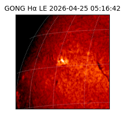 gong - 2026-04-25T05:16:42