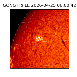 gong - 2026-04-25T06:00:42