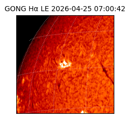 gong - 2026-04-25T07:00:42