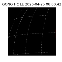 gong - 2026-04-25T08:00:42