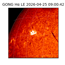 gong - 2026-04-25T09:00:42