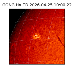 gong - 2026-04-25T10:00:22