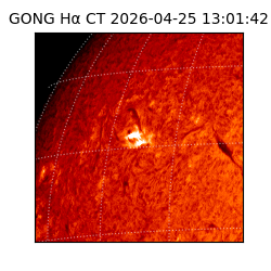 gong - 2026-04-25T13:01:42